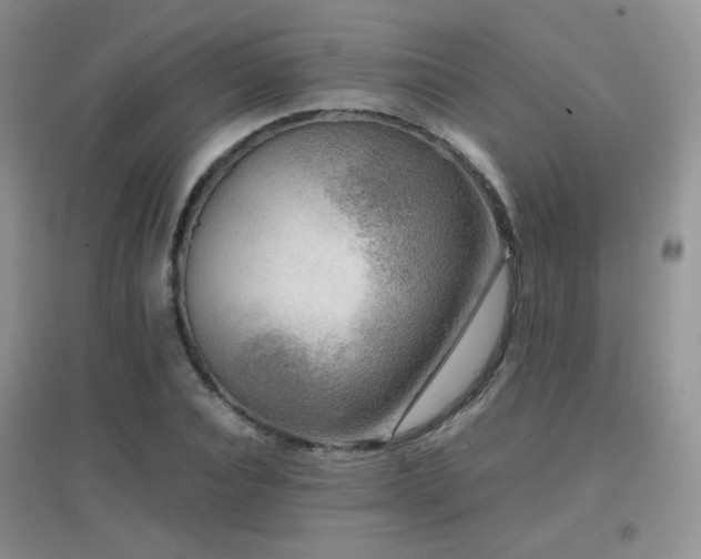 X0000096960928200802081227