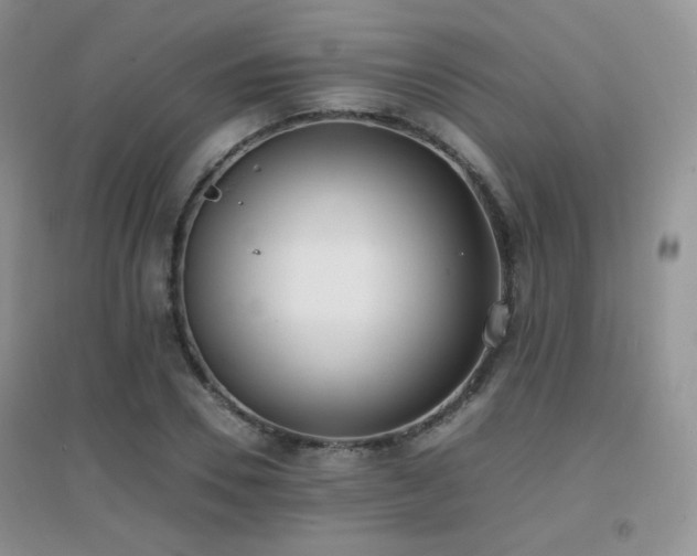 X0000096960930200802081227
