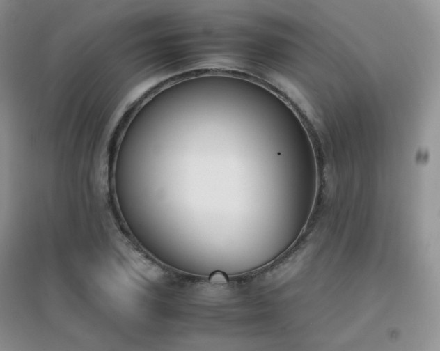 X0000096960931200802081227