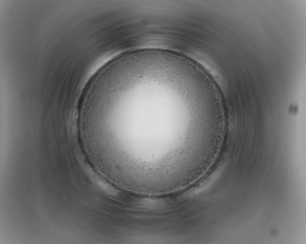 X0000096960933200802081227