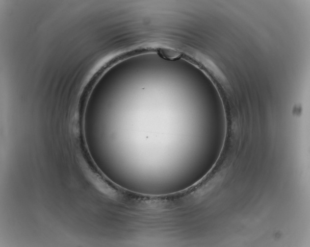 X0000096960934200802081227