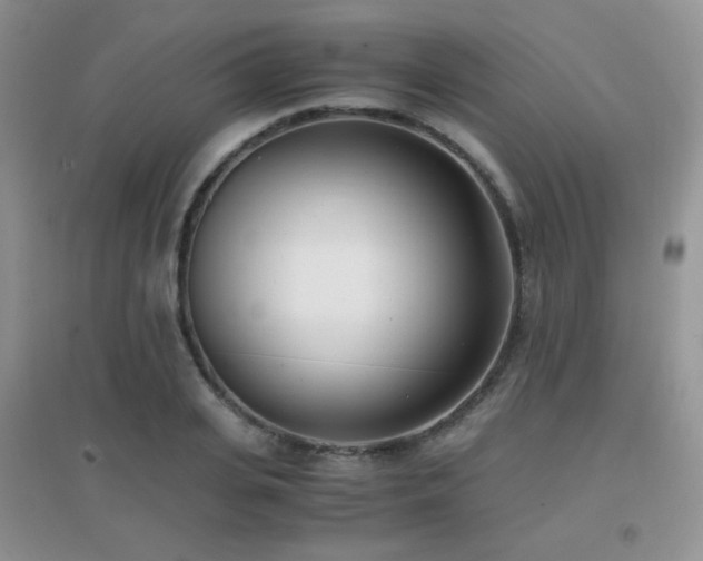 X0000096960935200802081227