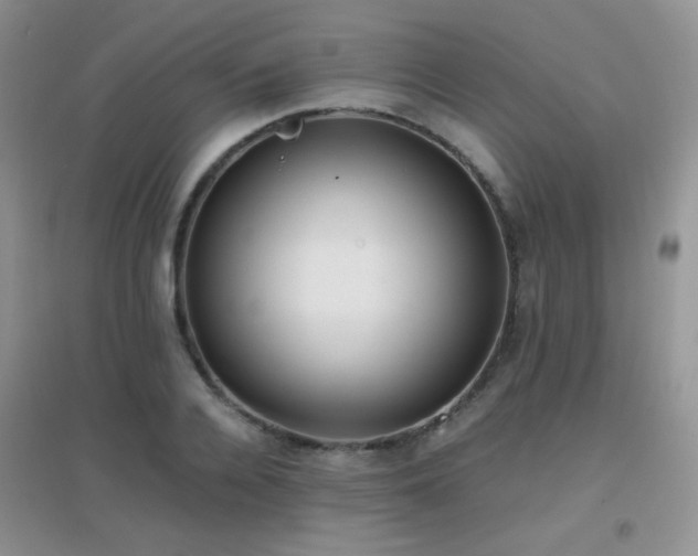 X0000096960936200802081227