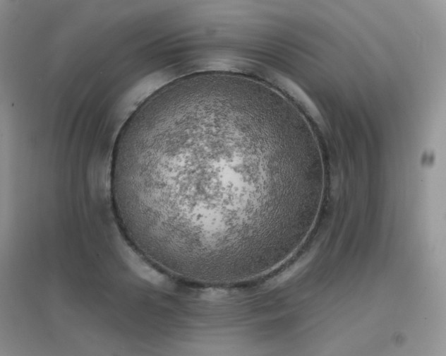 X0000096960938200802081227