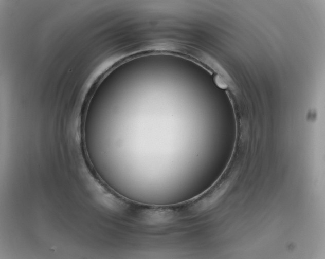 X0000096960939200802081227