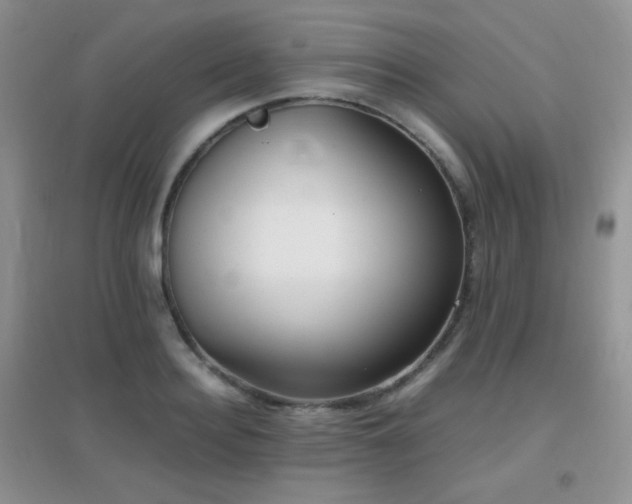 X0000096960940200802081227