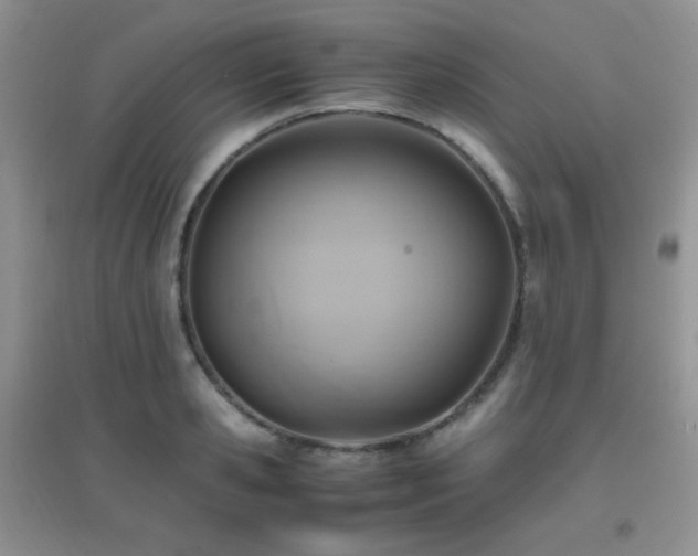 X0000096960941200802081227