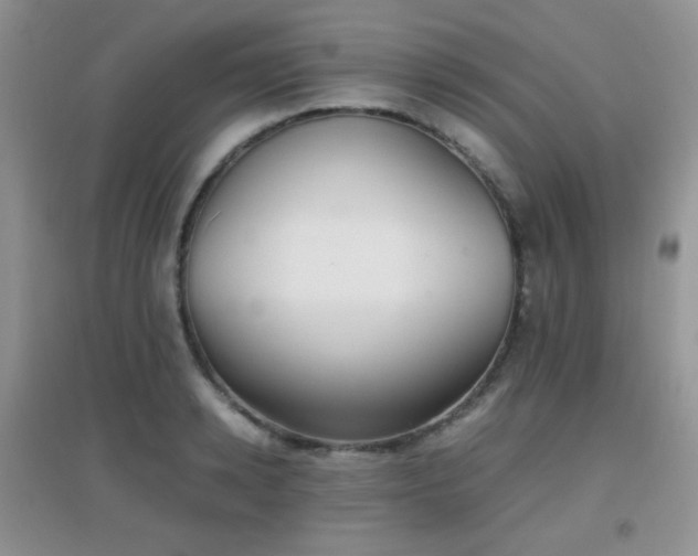X0000096960942200802081227