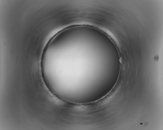 X0000096960943200802081227