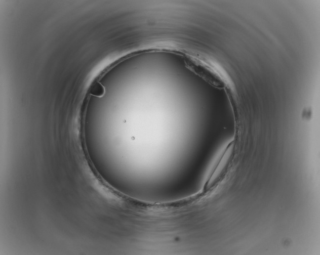 X0000096960944200802081227