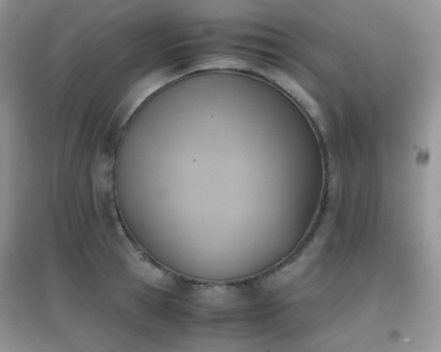 X0000096960945200802081227