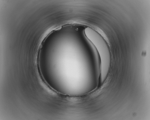 X0000096960946200802081227