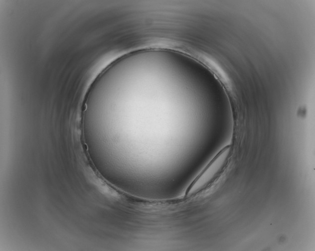 X0000096960948200802081227