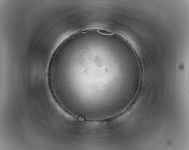 X0000096960949200802081227