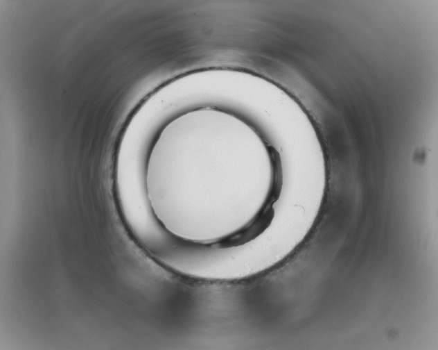 X0000096960950200802081227