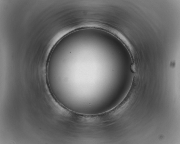 X0000096960951200802081227