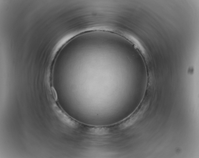 X0000096960952200802081227