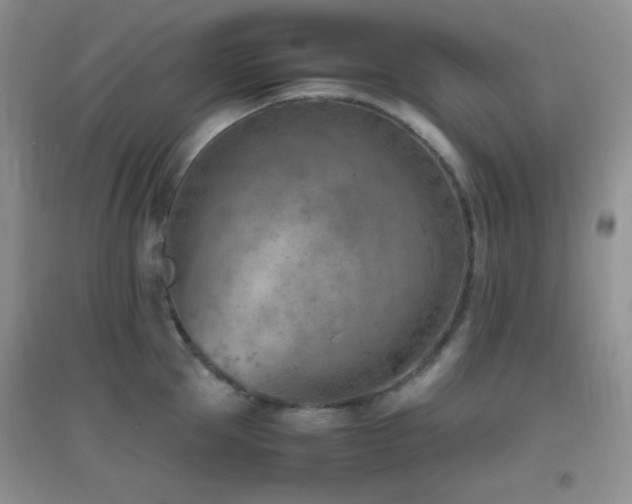 X0000096960953200802081227