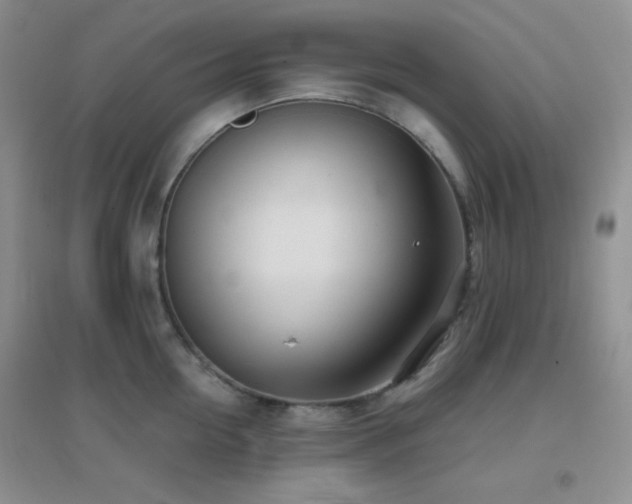 X0000096960954200802081227