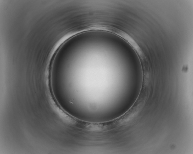 X0000096960955200802081227