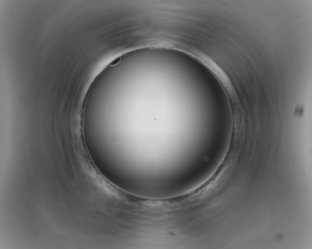 X0000096960956200802081227