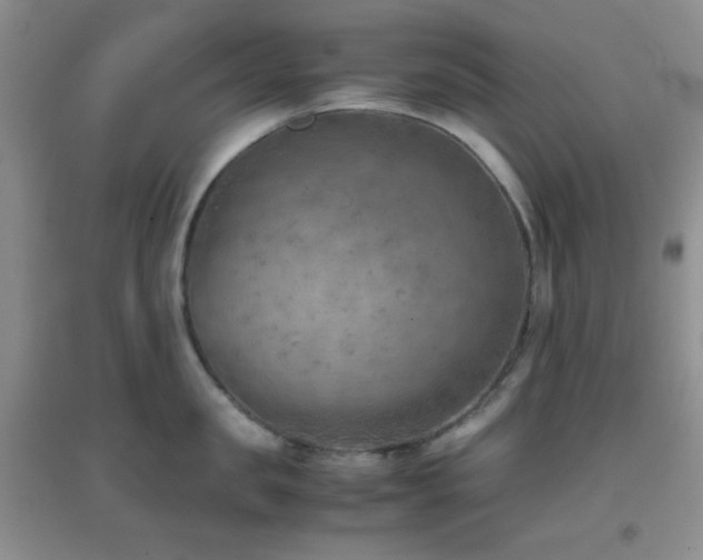 X0000096960957200802081227
