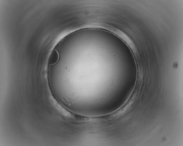 X0000096960958200802081227