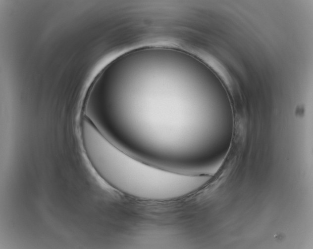 X0000096960959200802081227