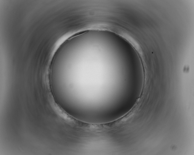 X0000096960960200802081227