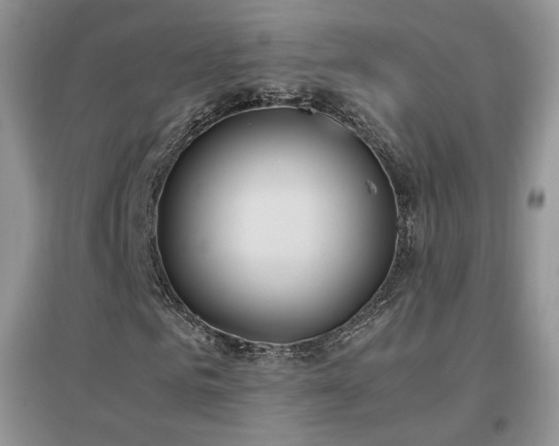 X0000096960961200802081227