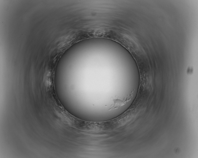 X0000096960962200802081227