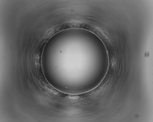X0000096960964200802081227