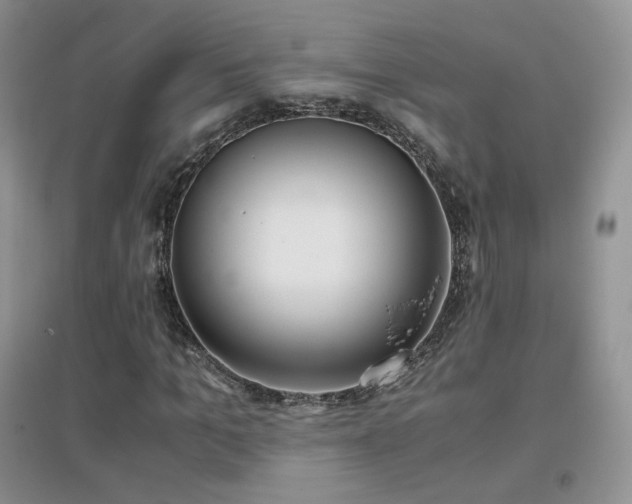 X0000096960965200802081227