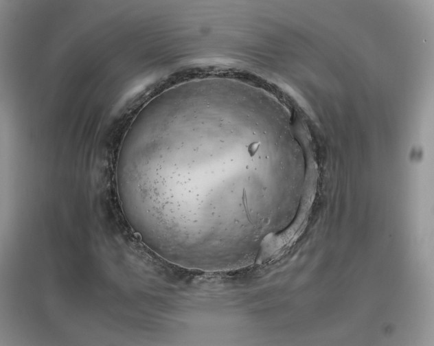 X0000096960967200802081226