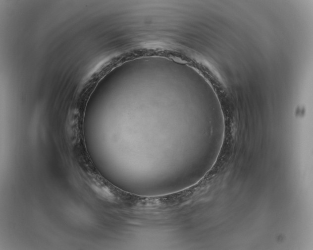 X0000096960968200802081226