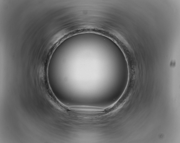 X0000096960969200802081226