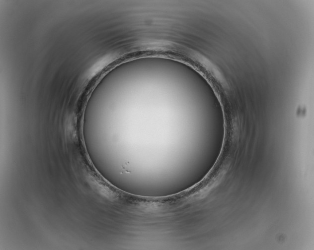 X0000096960970200802081226