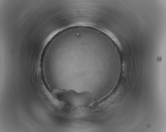 X0000096960972200802081226
