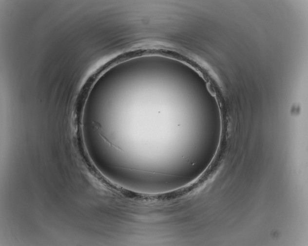 X0000096960973200802081226
