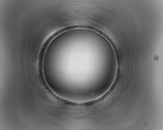 X0000096960975200802081226