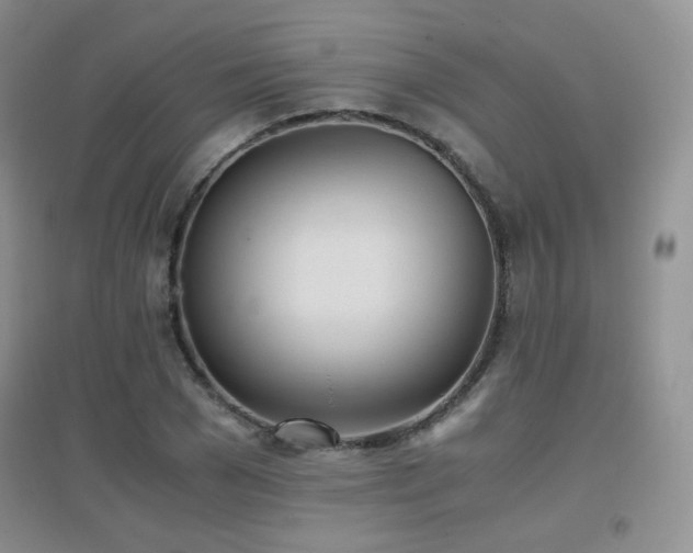 X0000096960977200802081226