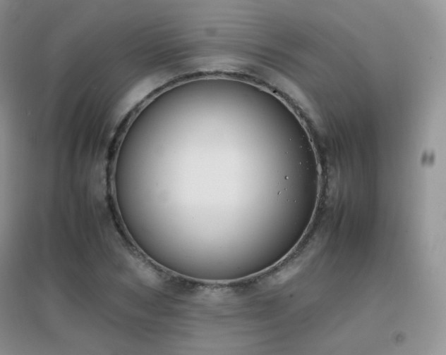 X0000096960978200802081226
