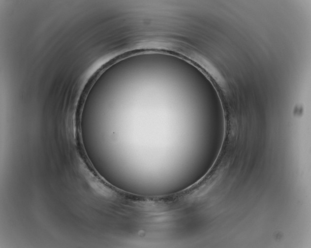 X0000096960980200802081226
