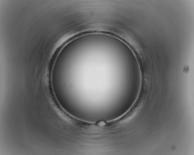 X0000096960981200802081226