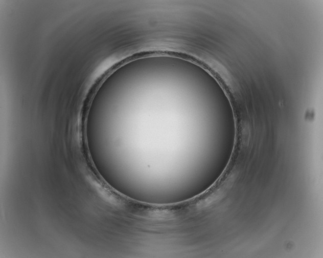 X0000096960982200802081226