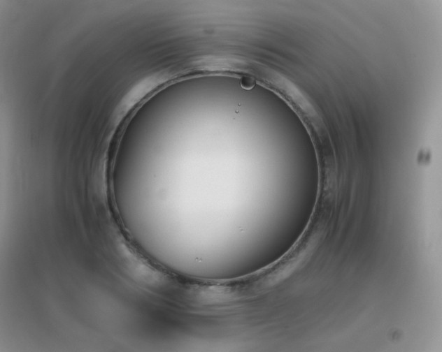 X0000096960986200802081226
