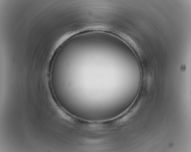 X0000096960989200802081226