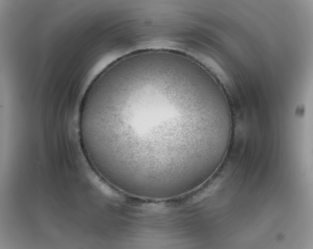 X0000096960990200802081226