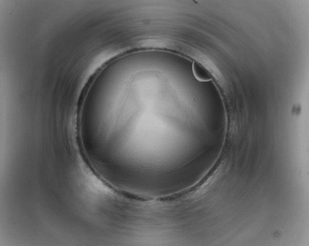 X0000096960992200802081226