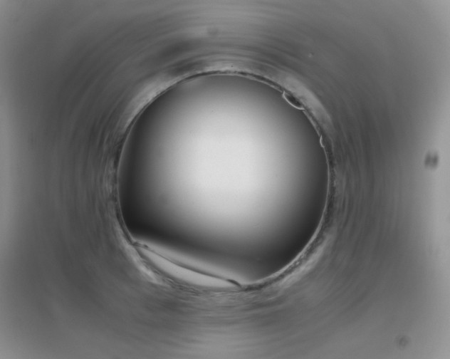 X0000096960993200802081226